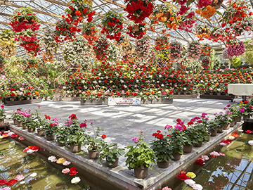 *【松江フォーゲルパーク】宍道湖に臨む丘陵地に広がる世界でもめずらしい花と鳥のテーマパークです。