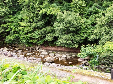*【園内の風景（一例）】