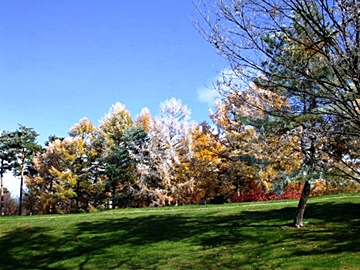 *周辺/小諸高原ゴルフ場（秋～初冬）季節によって違う景色の中でお楽しみいただけます。