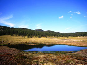 *周辺/水面に写る空が美しい。池ノ平湿原。