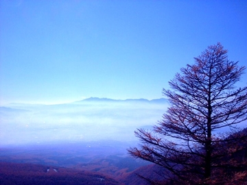 *高峰高原/天気の良い日には遥か遠くの山々まで見渡せます。