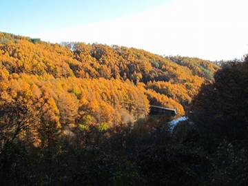 *周辺（秋）/深澤渓谷 息を呑むような広大な自然が目の前に広がります。