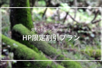 *HP限定プラン