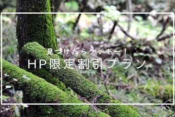*HP限定割引プラン