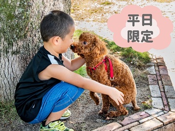 ＊【平日×ペット同宿】お手頃会席で気軽に温泉ステイ♪