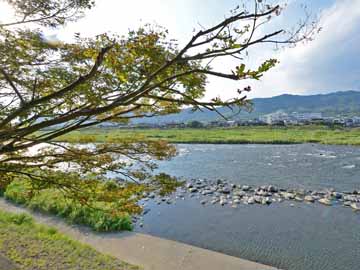 *宿の目前に雄大な筑後川が流れています