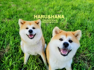 *温＆華ちゃん　にっこりスマイル♪　皆様のお越しをお待ちしております！