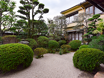 *【庭園】1階廊下からの眺め。