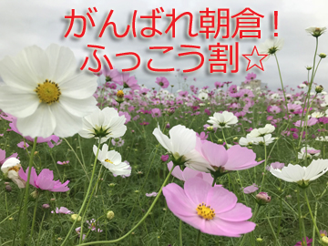 ＊魅力いっぱいの朝倉観光をぜひ、お楽しみください★
