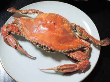 *【竹崎蟹の姿煮一例】凝縮された旨味と独特の甘みがたまらない！！
