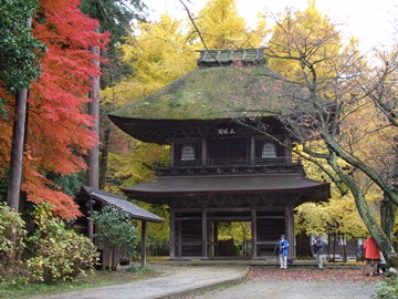 *【周辺の紅葉】秋の秋川は紅葉スポットが点在。歩いて散策してみてはいかがですか。