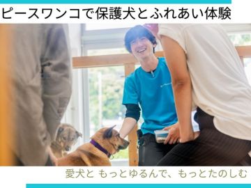 *ピースワンコで保護犬とふれあい体験