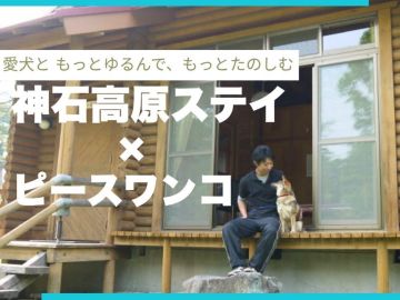 *神石高原ステイ×ピースワンコ