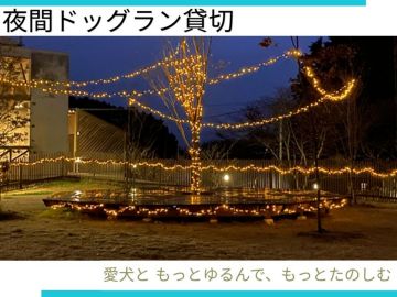 *夜間ドッグラン貸切