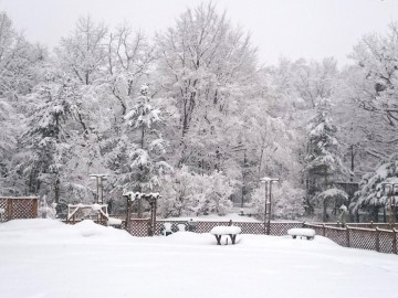 *［冬のドッグラン］雪遊びはもちろん敷地内で利用可能なスキーも貸出可能です