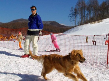 *［軽井沢スノーパーク／わんわんパラダイス］一緒に雪遊びが出来るドッグラン