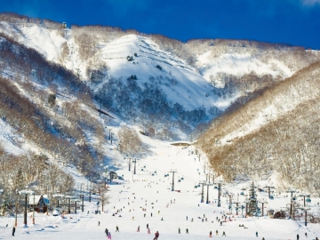 *【周辺景観・冬】白馬五竜スキー場まで徒歩約7分の立地