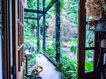 *［入口からの景色］森に囲まれた当館は自然が多く、四季の草花や木々に癒されます。