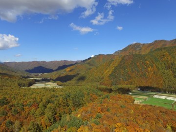 *[周辺のお勧めスポット：紅葉シーズン]