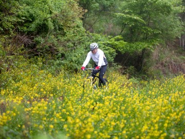 *[ロードバイク]春は菜の花畑の中を自転車でお散歩