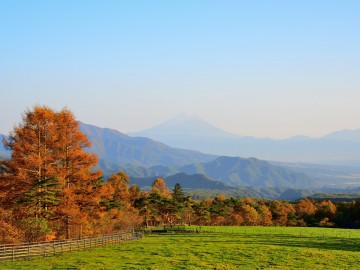 *[周辺のお勧めスポット：まきば公園]
