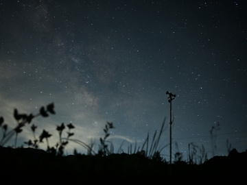 *[星空一例]見上げれば満天の星空。新月近くの日程はさらに星が見えやすい星月夜に！
