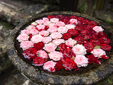 *【丹生都比売（にうつひめ）神社】女神様の神社で、特に女性にオススメらしいですよ♪