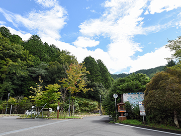 *【周辺の景色】緑豊かな自然たっぷりのロケーション