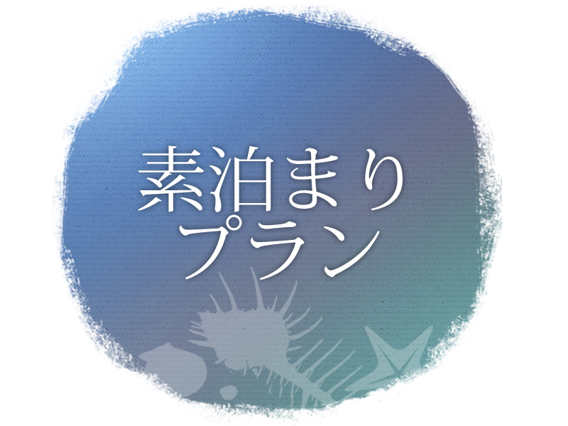気軽な素泊まりプラン