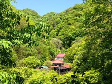 *風がそよぎ、木々が揺れ、川のせせらぎが流れる…。自然と共に過ごせる宿が、金湯館です。