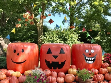 *笑顔のかぼちゃが並ぶ、秋だけのハロウィーンフェア開催中！