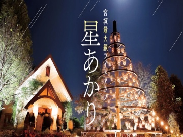 *夜空を彩るシンボルツリー。幻想的な光景をお楽しみください。