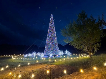 ＊やくらいガーデン/星灯り2025 人気のツリーが今回は2本！？