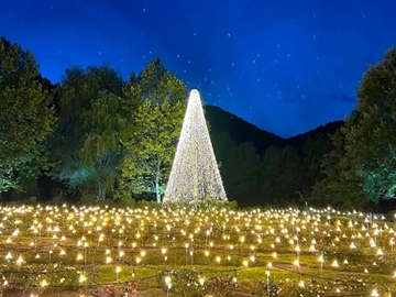 ＊やくらいガーデン/星灯りでいつもと違った素敵な時間をお楽しみください！