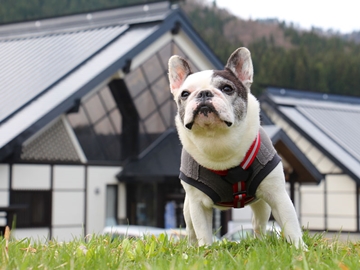 *ワンちゃんと一緒にご宿泊の方は、専用コテージでご予約ください。