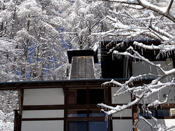 *[風景]細かなつららが木々に付着する「雨氷」という珍しい現象、運が良ければ見られるかもしれません