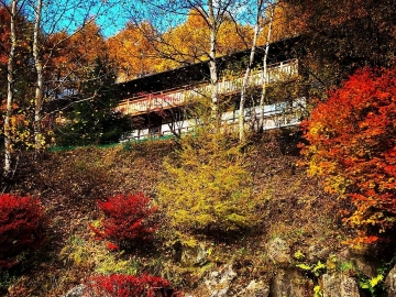 *[風景]落葉松や紅葉が北八ヶ岳の秋を彩ります。