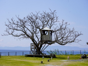 batch_ツリーハウス