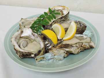 *天然の岩牡蠣（一例）毎年7～8月の夏季限定で旬の味覚をご提供しております。