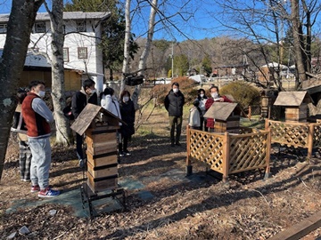 *【体験】養蜂現場見学／当館で育てているミツバチの巣箱を見学。生態や養蜂の流れを学びます。