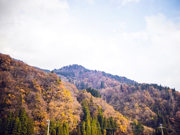 *周辺風景/白山市白峰地区は日本三霊山の1つである「白山」のお膝元にあり、豊かな自然に囲まれています
