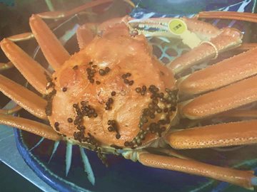 *越前蟹お一人様につき1杯を自釜で茹でてご提供します