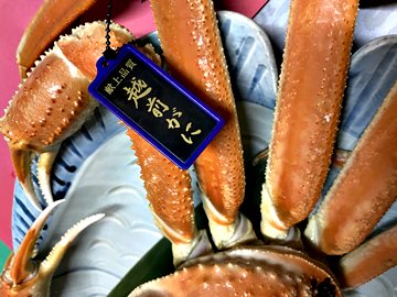 最高級の越前蟹