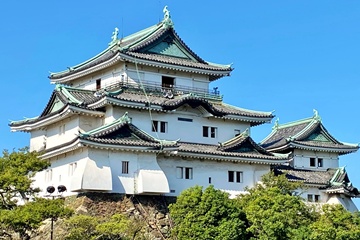 ＊和歌山城（車で約15分）