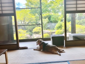 ＊＜庭園の家＞部屋（一例）ワンちゃんとお部屋でご一緒にお寛ぎください