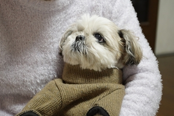 ＜ペット無料＞楽しいひと時をお過ごしください。